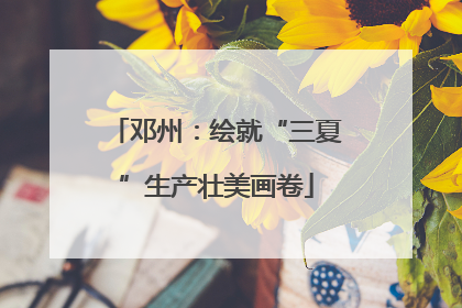 邓州：绘就“三夏”生产壮美画卷